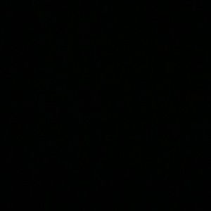 Meet your Posher, Katelyn